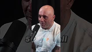 Joe Rogan Thinks Godzilla Will Beat King Kong?!? 🤔👀 - Joe Rogan | Lex Fridman #shorts