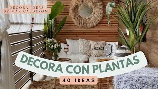 💡 DECORACIÓN con Plantas🍃 de Interiores/Decora Ideas