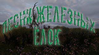 НОВАЯ МОДИФИКАЦИЯ - ПЕСНИ ЖЕЛЕЗНЫХ ЁЛОК. STALKER SoC