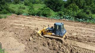 Difficult work operator bulldozer SHANTUI SD16E pushing soil mix mud with dump track spreading soil