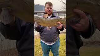 Catfishing in upstate NY!!!(NewYork Catfishing) 🐟 #catfishing #fishing #catfish #algorithm #viral