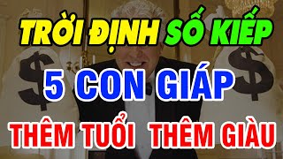 KIẾP NÀY SỐ TRỜI ĐÃ ĐỊNH, 5 TUỔI NÀY THÊM TUỔI THÊM GIÀU, CÀNG GIÀ CÀNG GIÀU, HẬU VẬN MĨ MÃN