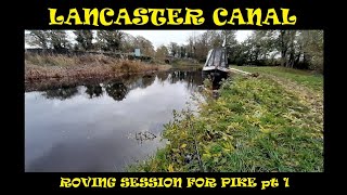 Lancaster canal pike fishing. winter piking, dead baiting, roving session