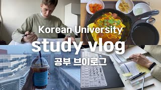 [VLOG] 공부 브이로그 / Korean University Study Vlog / Studying Korean in Korea / 공부 자극 / 일상 브이로그