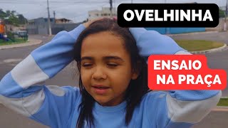 UM MARIMBONDO QUIZ ME ATACAR ENQUANTO ENSAIAVA NA PRAÇA - OVELHINHA