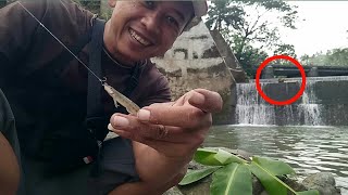 Mancing Ikan Uceng Di Spot Dam Kali Cengis Wadaslintang | Mancing Wadaslintang Mazbro Fishing