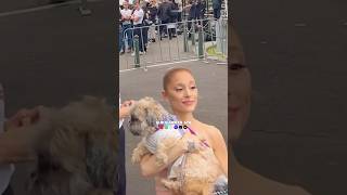 Fan hands Ariana Grande their dog #shorts