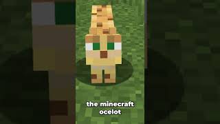 The Minecraft Ocelot #shorts