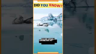 Iceland Grows 5 Centimeters Per Year: Here's Why | Motivational Facts #shorts