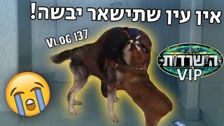 ככה קיבלו אותי כשחזרתי מהישרדות | מרגש עד דמעות!!