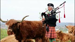 Zurich Caledonian Pipe Band: Jahresrückblick 2020 mit Fotos und Videos