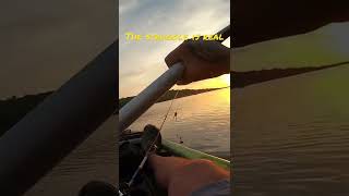 Kayak fishing with a paddle SUCKS!! #fishing #fish #kayak #outdoors #sunrise #subscribe #support