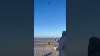 Black Suit Patang by Manchester Kite Flying Club. Patang Bazi UK