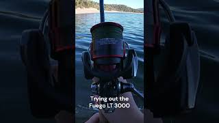 Daiwa Fuego LT 3000D-C Spinning Reel Test #shorts #autumn #fishing #spinningreel #bassfishing