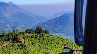 Munnar's Highest point on TATA-1618 Thenmala Estate road MSL- 6500 feet