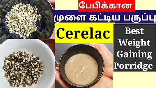 முளை கட்டிய பருப்பு செராலாக் - Best Weight Gaining Porridge For Babies In Tamil