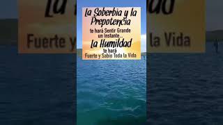 La humildad te hace grande #shorts #pensamientos #frasesparapensar #frases #motivationalvideo