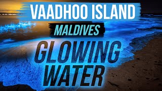 Vaadhoo Island, Maldives | Glowing water | Bioluminescence effect