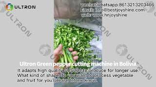 green pepper cutter | vegetable cutter | onion cutter price| potato cutter | potato cutting machine