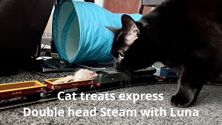 Cat Treats Express Double Head Steam with My Cat