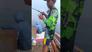 mancing tenggiri