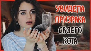 УВИДЕЛА ПРИЗРАК СВОЕГО КОТА/МОЯ УЖАСНАЯ ИСТОРИЯ