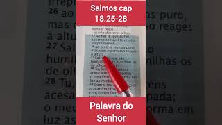 Salmos 18.25-28