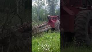 Old log skidder 230TJ#timberjack #logging #detroitdiesel #skidder