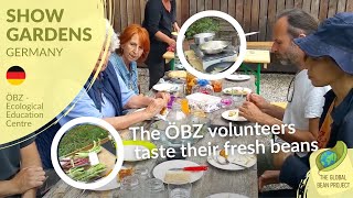 The ÖBZ Volunteers Taste Their Fresh Beans (August) – ÖBZ 🇩🇪 #8 | Global Bean Show Gardens