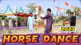 Ghora Nach Mela kajawani 2023 | New Horse Dance | Mahr Tanveer Haider Bharwanah | Wah ghora wah