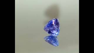 Genuine Tanzanite Trillion from thecoveatfoxhollow.com