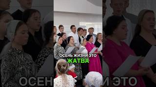 Жатва 2024 #христианскиепесни #псалмы #жатва #церковь #хве #богослужение #бог #христиане #молодежь