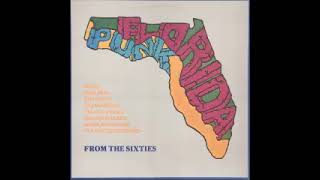 Various – Florida Punk From The Sixties, Garage/Psychedelic/Beat 60's Music Album Compilation LP