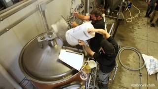 Oxbow Brewing Company Teaser! | Local Brew Ep6