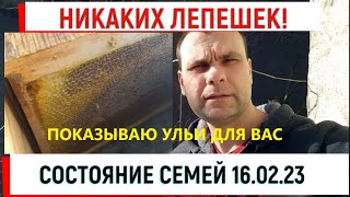 Никаких лепешек! Показываю ульи для вас. Состояние семей 16.02.23 #зимовкапчел