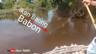 Nganco ikan || bg putra strike ikan baung babon...