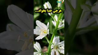 هرچی خدا بخواد همون میشه/امیدوارم خدا برات  خوش بخواد/رادیو آگاهی #shorts