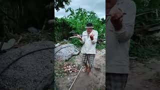 Buscando agua con rama(FUERZA DE LA RADIESTESIA) #shors  #pozo #agua #fypシ゚viral