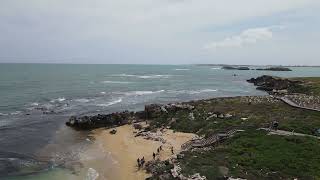 Penguin Island Western Australia