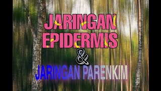 JARINGAN EPIDERMIS DAN PARENKIM