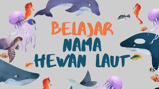 Edukasi Hewan Laut untuk Anak-anak | Mengenal Nama-nama Makhluk Laut untuk Balita dan Anak-anak