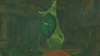 Pepp, the sleepy Korok