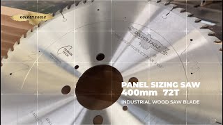 GOLDEN EAGLE - Panel Sizing Saw