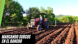 MARCANDO SURCOS EN EL RANCHO CON EL MASSEY FERGUSON 285