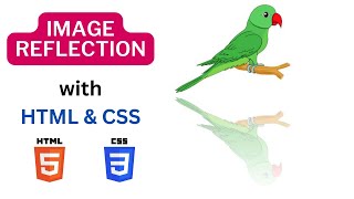 Image Reflection Effect using html and css