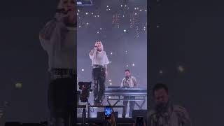 Linkin Park // Emily Armstrong // Mike Shinoda (Live Hamburg 2024) #linkinpark #linkinparksongs #top