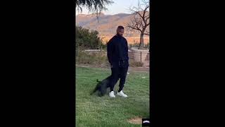 Jamie Foxx was spotted using various voice commands to demonstrate how well trained his dogs are