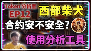 【Token 分析室 第 12 集】破解西部柴犬幣《Shiba Shootout》 - 挖掘百倍潛力 | 最佳合約分析工具 #SHIBA #迷因幣 #土狗幣