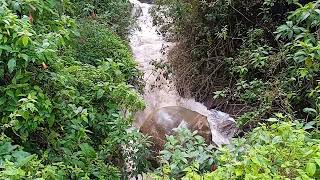 Sendero San Francisco Vicacha Bogotá Colombia