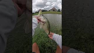 The SECRET To Catching BIG BASS (How To Catch BIG Bass)